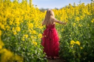 This image shows the back of a young 3-4-year-old girl on the path in the middle of a field of tall yellow flowers with green stems. She is wearing a dressy red long dress with a bow and has long blonde hair. The image is shown related to our South Shore roofing company's blog post about outdoors summer activities/events on the South Shore.